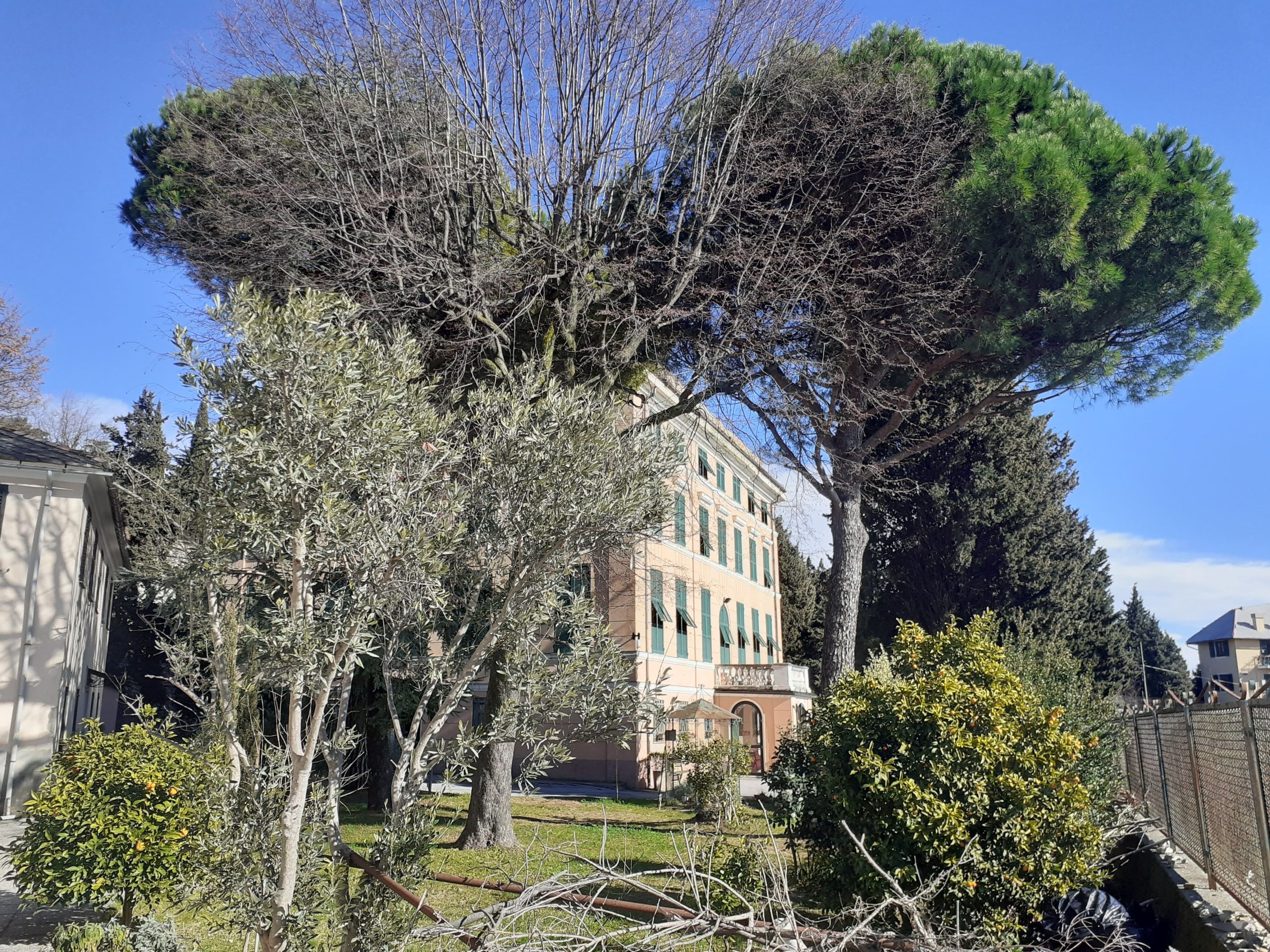 Villa Palme Righi